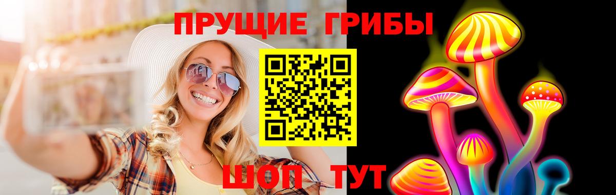 Алатырь  Псилоцибиновые грибы GOLDEN TEACHER  Псилоцибиновые грибы MAGIC MUSHROOMS  Вход с VPN 